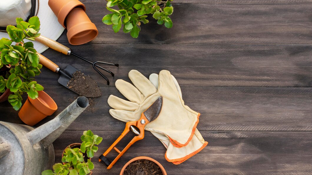 Jak wybrać profesjonalne narzędzia do pielęgnacji ogrodu?